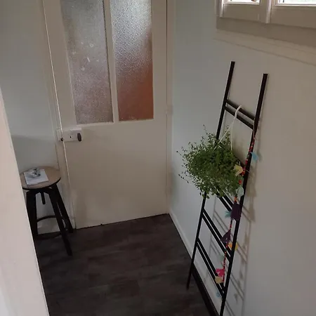 Marie Guest house